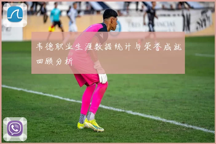 韦德职业生涯数据统计与荣誉成就回顾分析