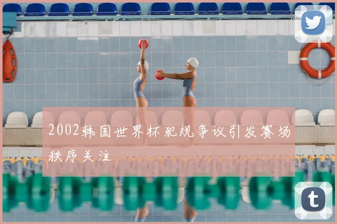 2002韩国世界杯犯规争议引发赛场秩序关注