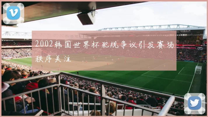2002韩国世界杯犯规争议引发赛场秩序关注