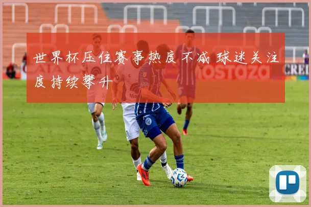 世界杯压住赛事热度不减 球迷关注度持续攀升