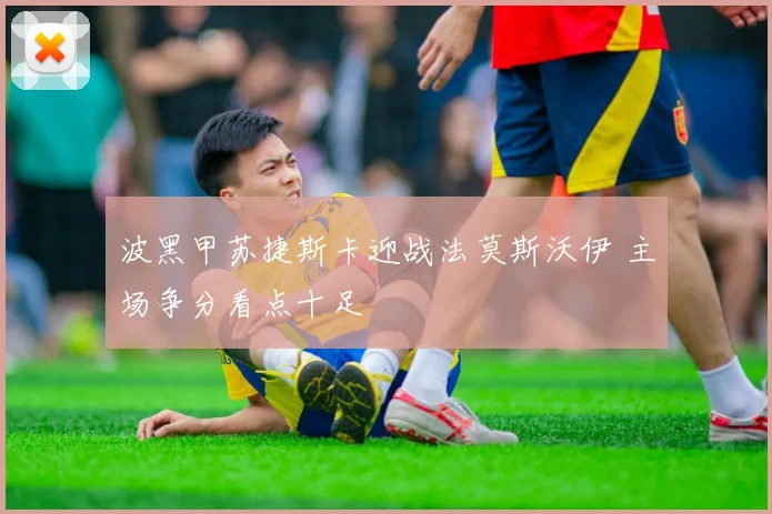 波黑甲苏捷斯卡迎战法莫斯沃伊 主场争分看点十足
